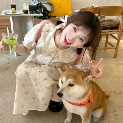 楼奴 封面